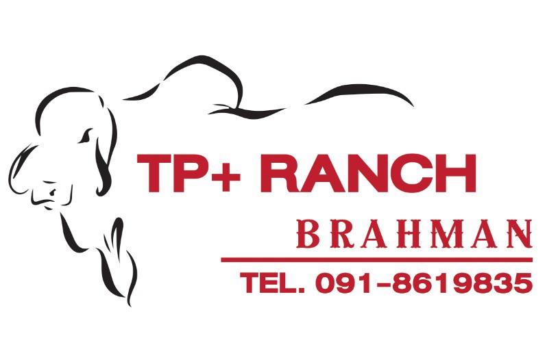 TP+Ranch rad brahman หนองบัวลำภู