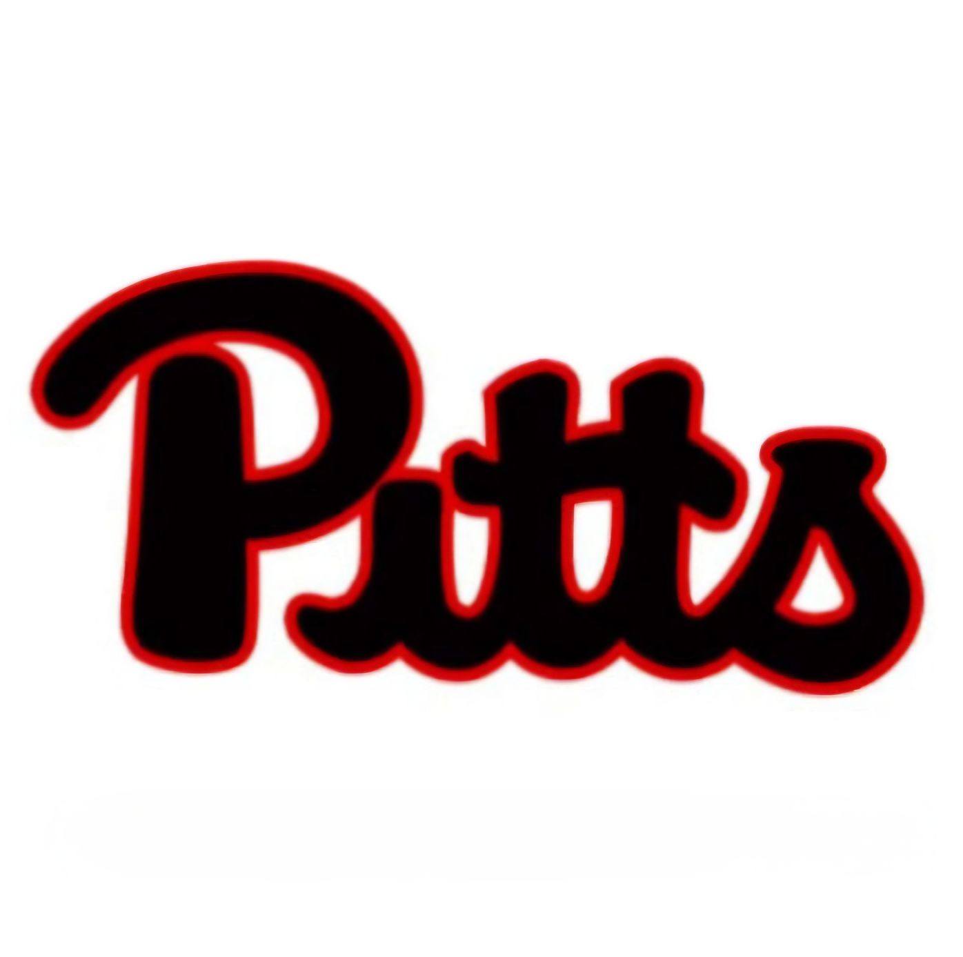 Pitts - From a bird’s-eye view to boots on the ground—this is what ...