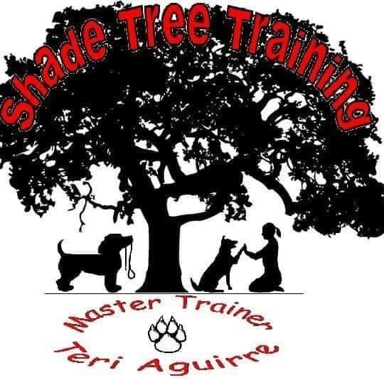 Shade-Tree-Training