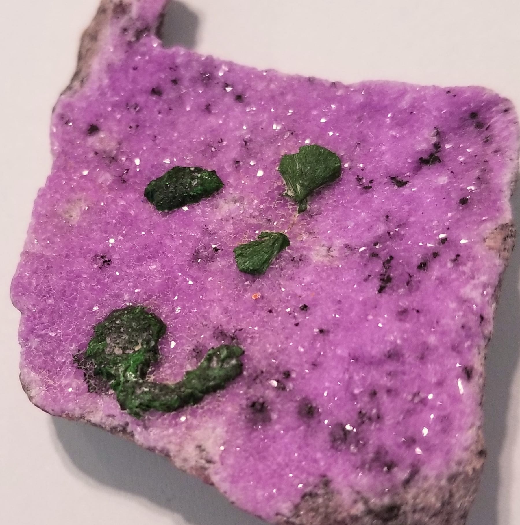 Rina's Rocks | Hatboro PA