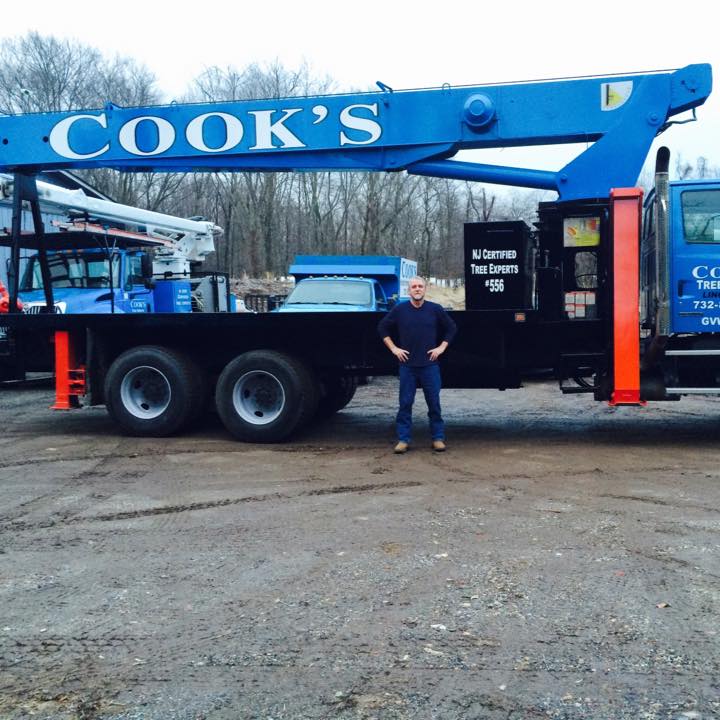 Cooks Tree Service inc. | Lincroft NJ