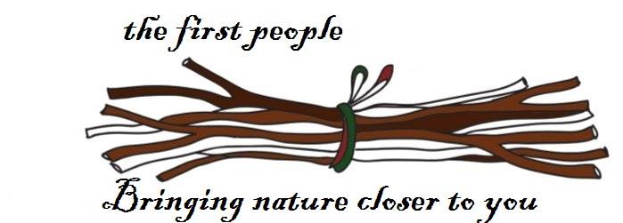 The first People Lantana crafts