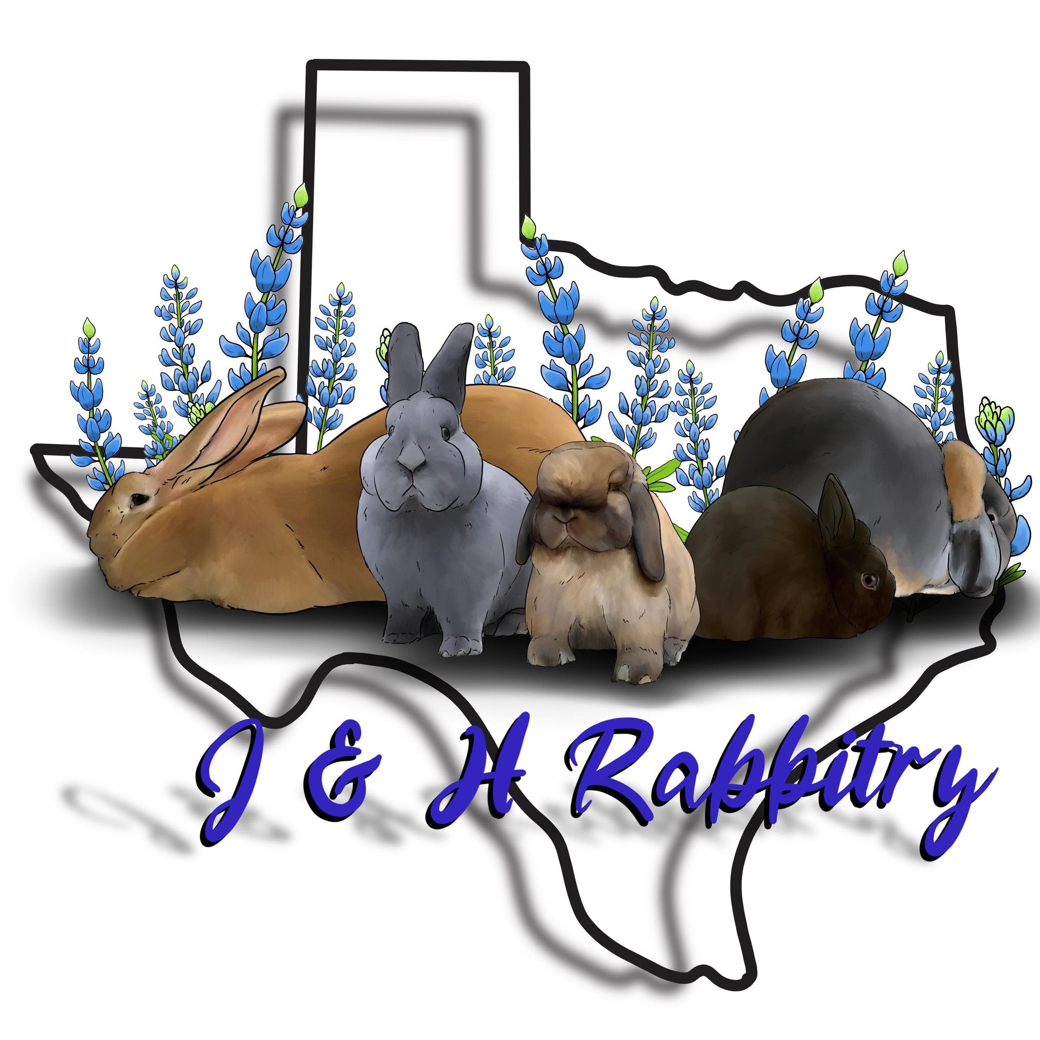 J&H Rabbitry | Sanger TX