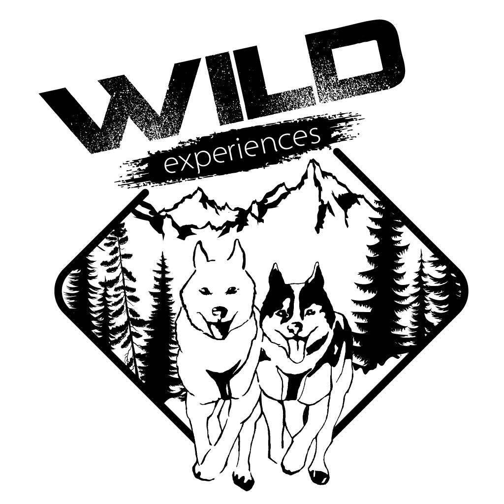 Wild Experiences Chiens De Traineau Hautes Alpes