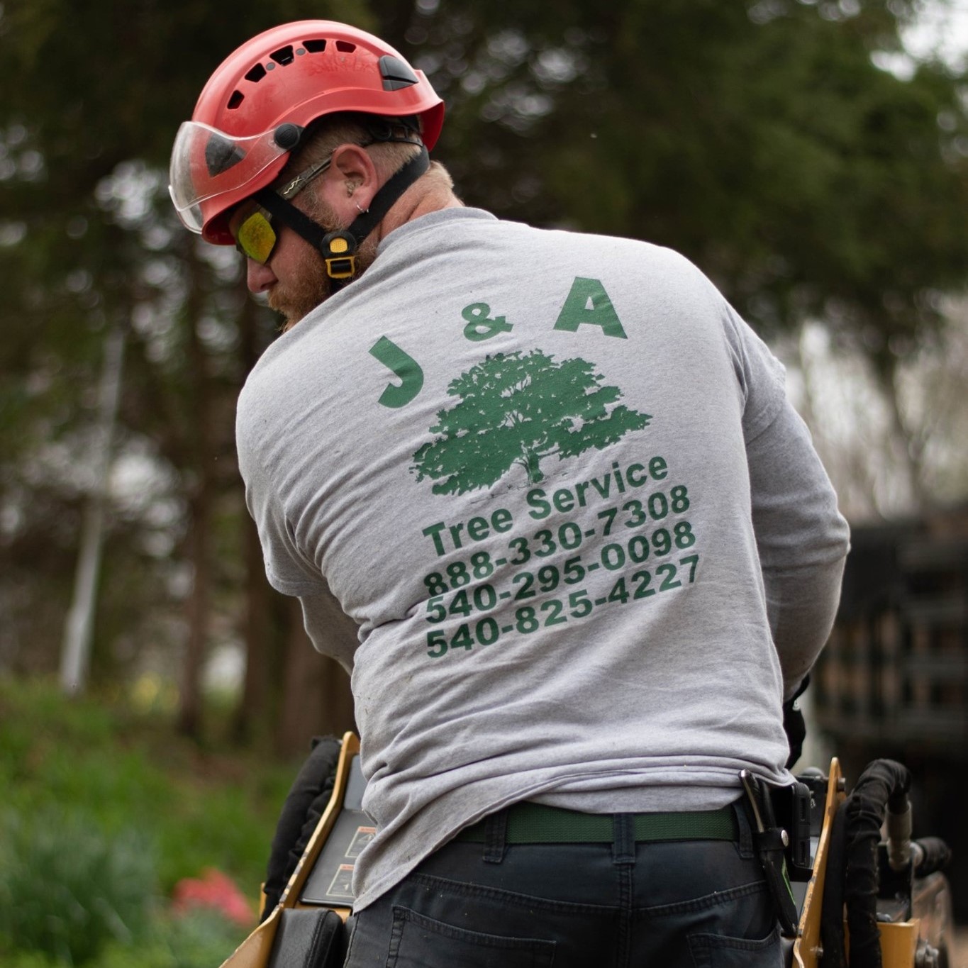 J & A Tree Service | Culpeper VA