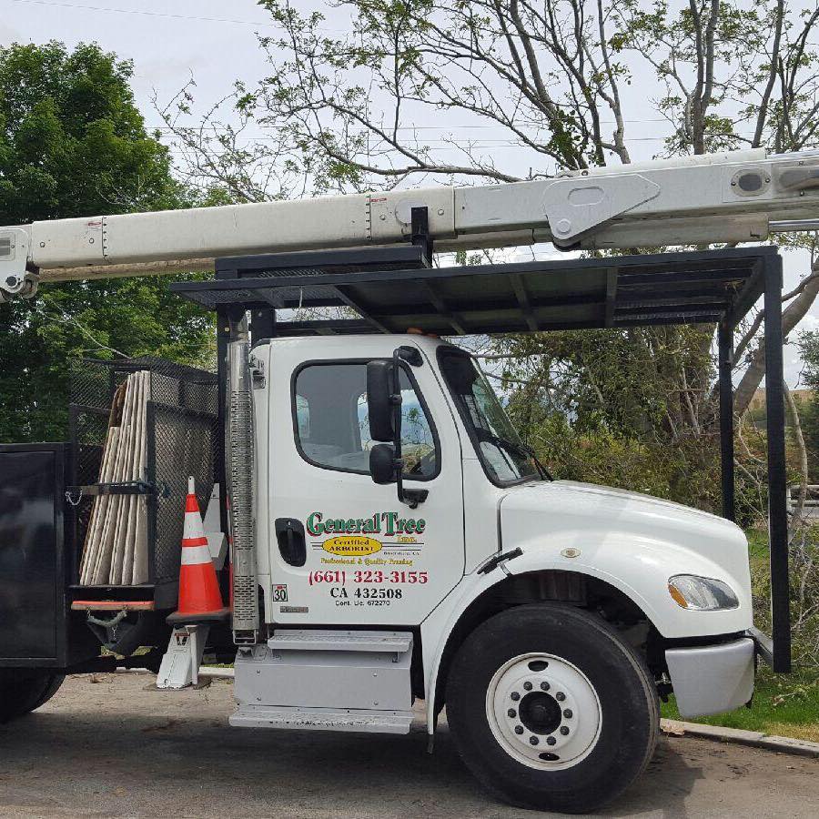 General Tree Service | Bakersfield CA