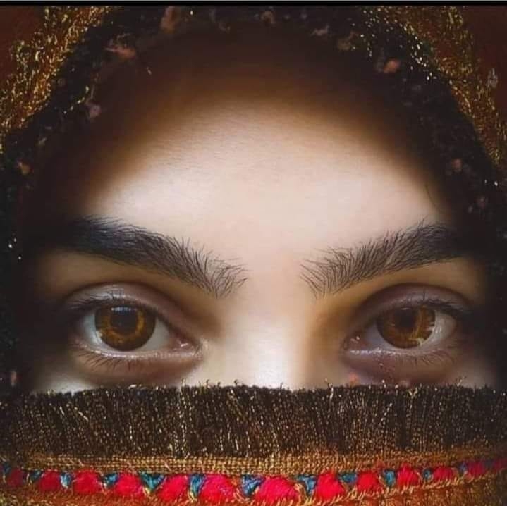 شمائلہ کنول