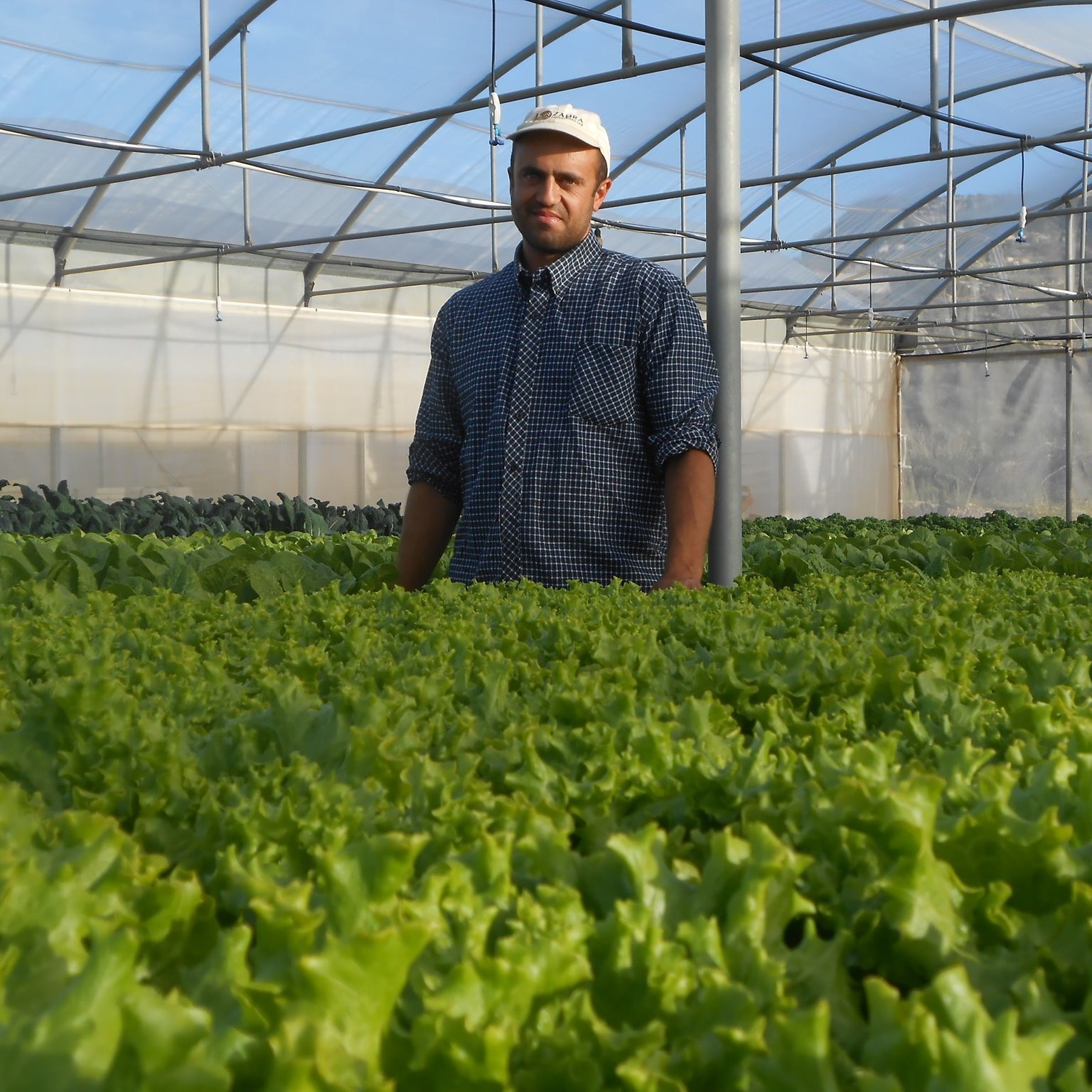 Popeye Farmers | Mellieħa