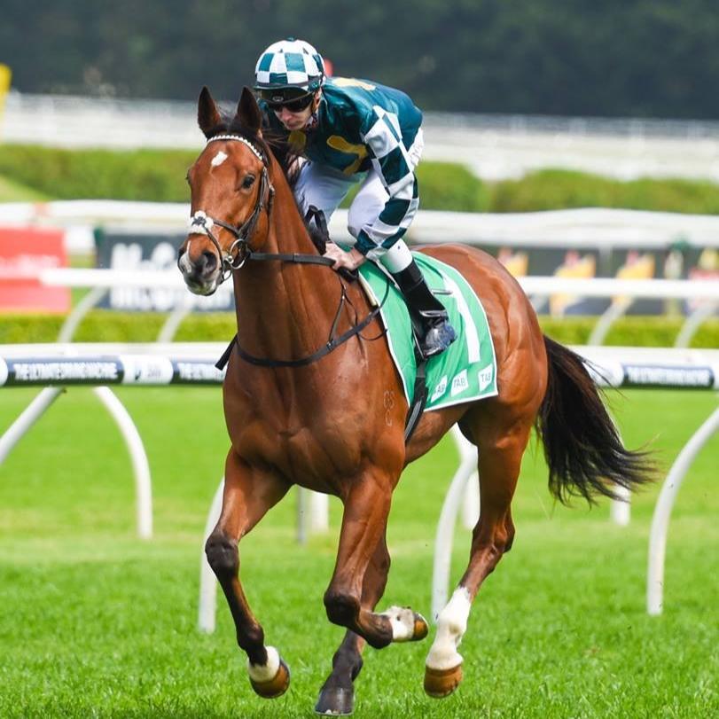 David J Smith Racing | Mudgee NSW