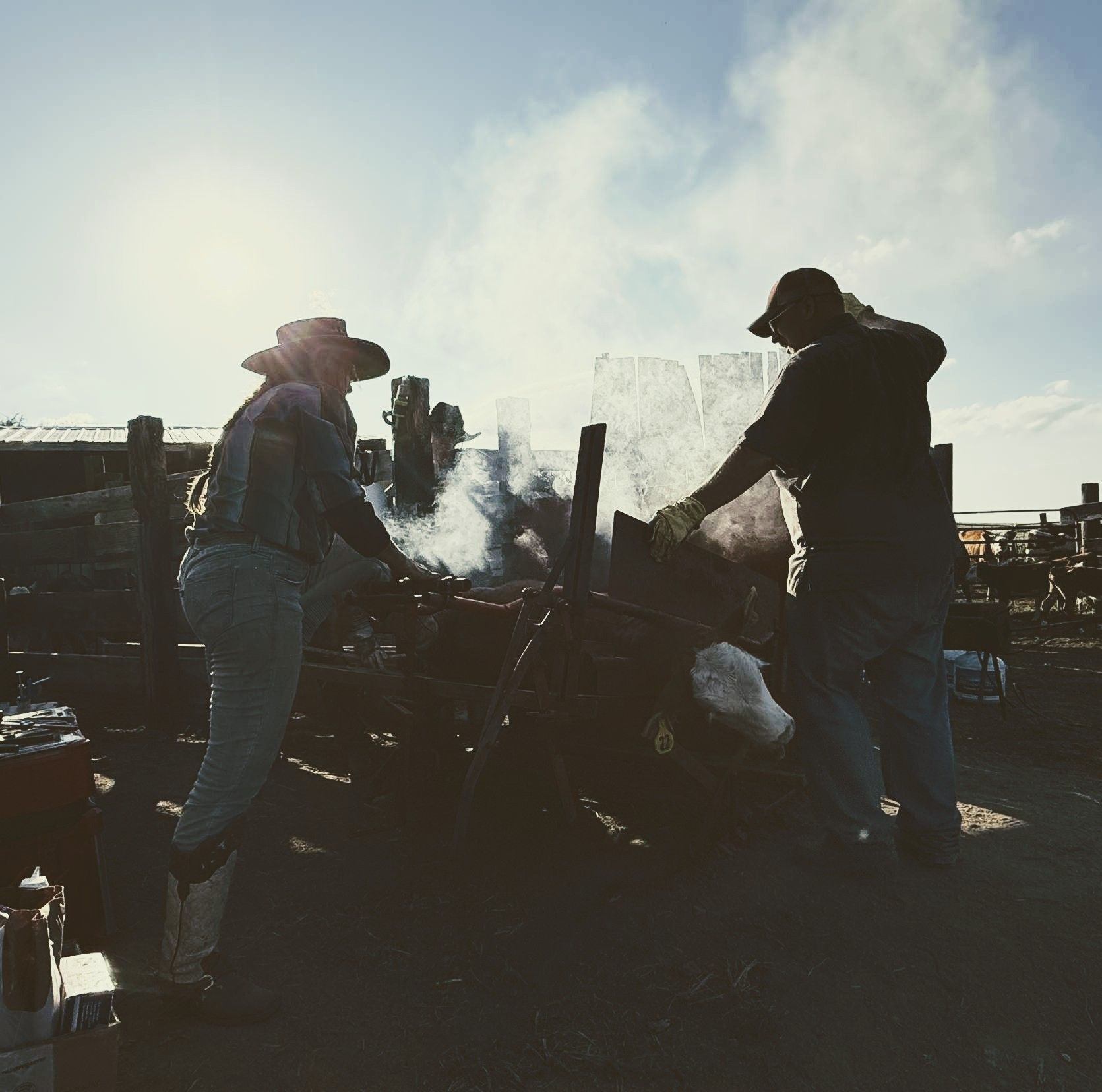 Slash 2D Ranch | Wibaux MT