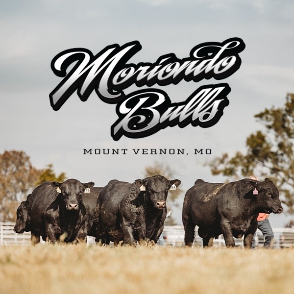 MM Cattle Company | Facebook