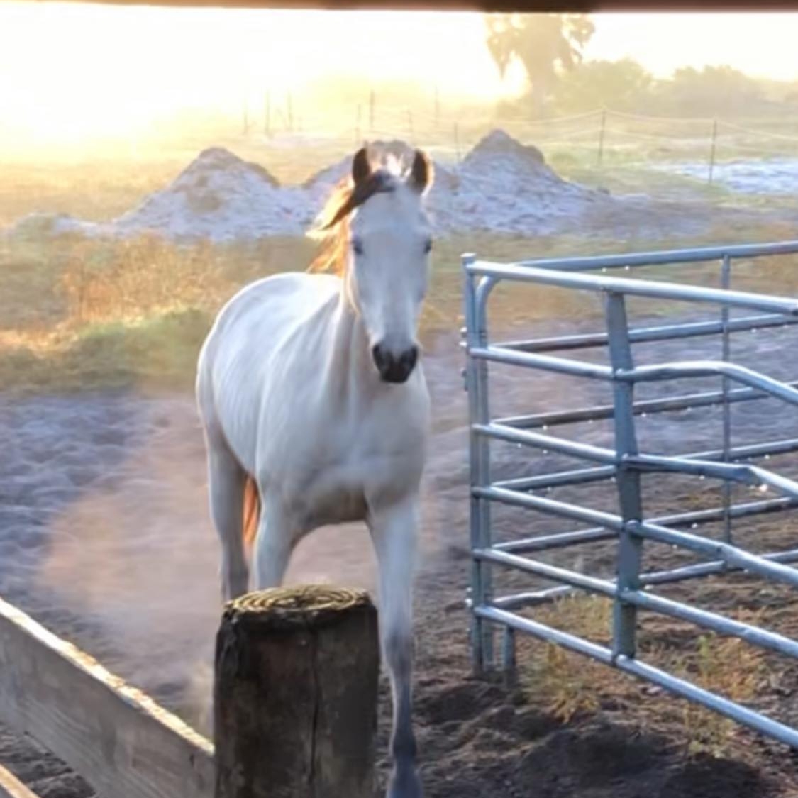No Chance Ranch, LLC | Clewiston FL