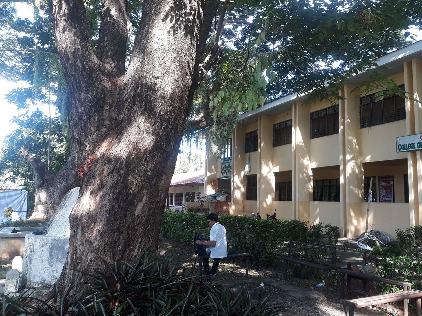 Wmsu San Ramon Campus Palaro 2019 | Zamboanga City