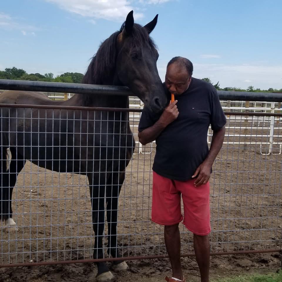 Brazilian Horse Trainer / DnD Performance Horses - Looking good today ...