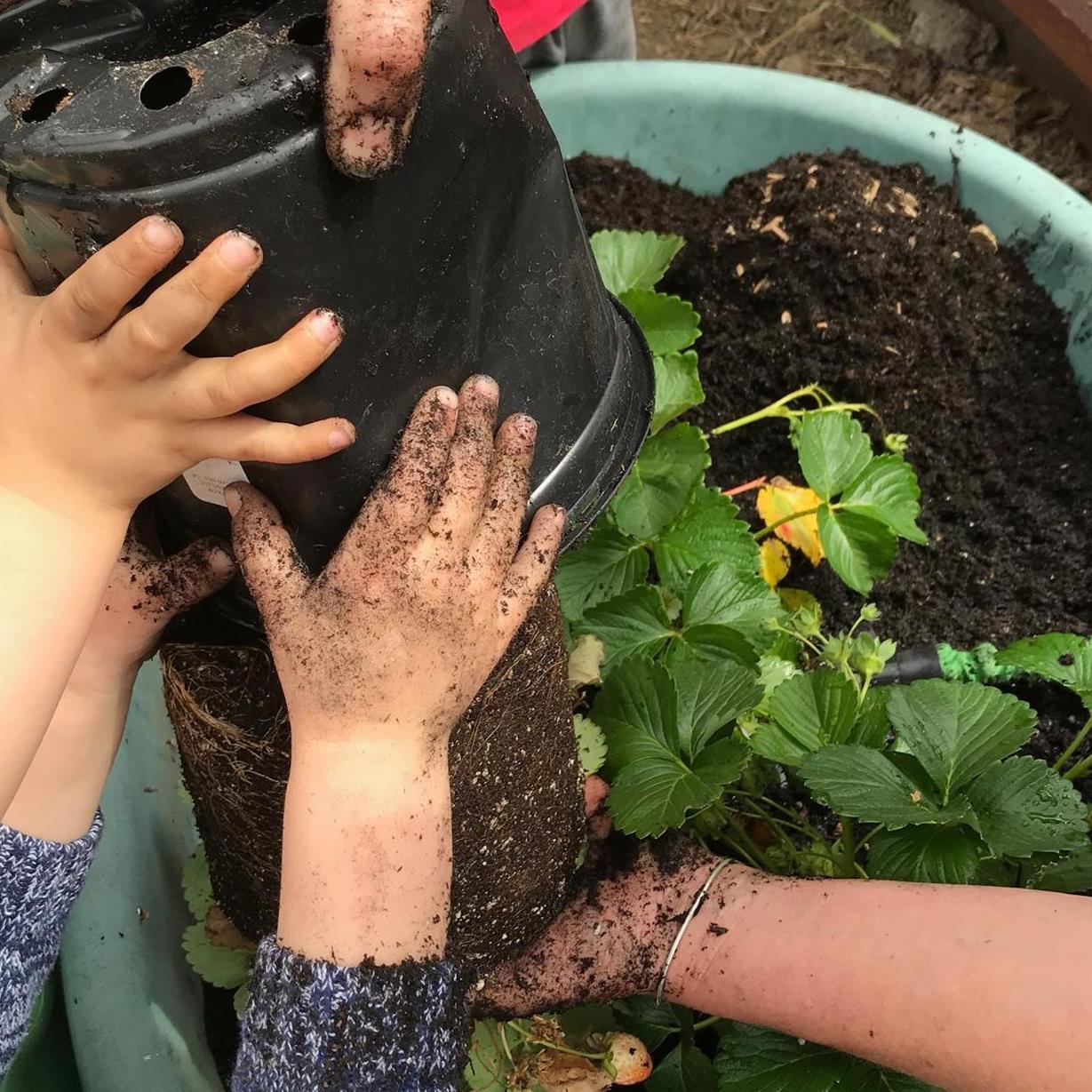 Peppertree Schools of Los Gatos | Los Gatos CA