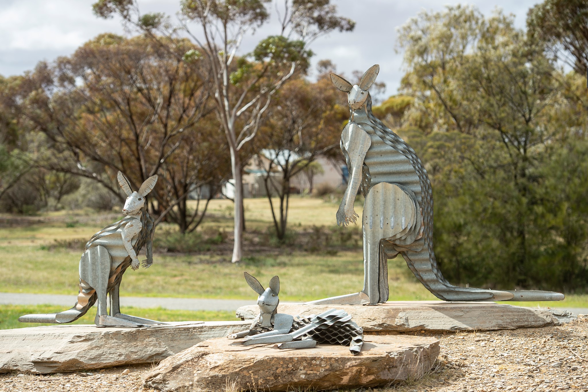 Orroroo & Carrieton | Orroroo SA