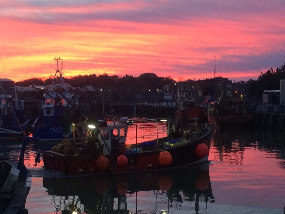 West Whelks Shellfish | Whitstable