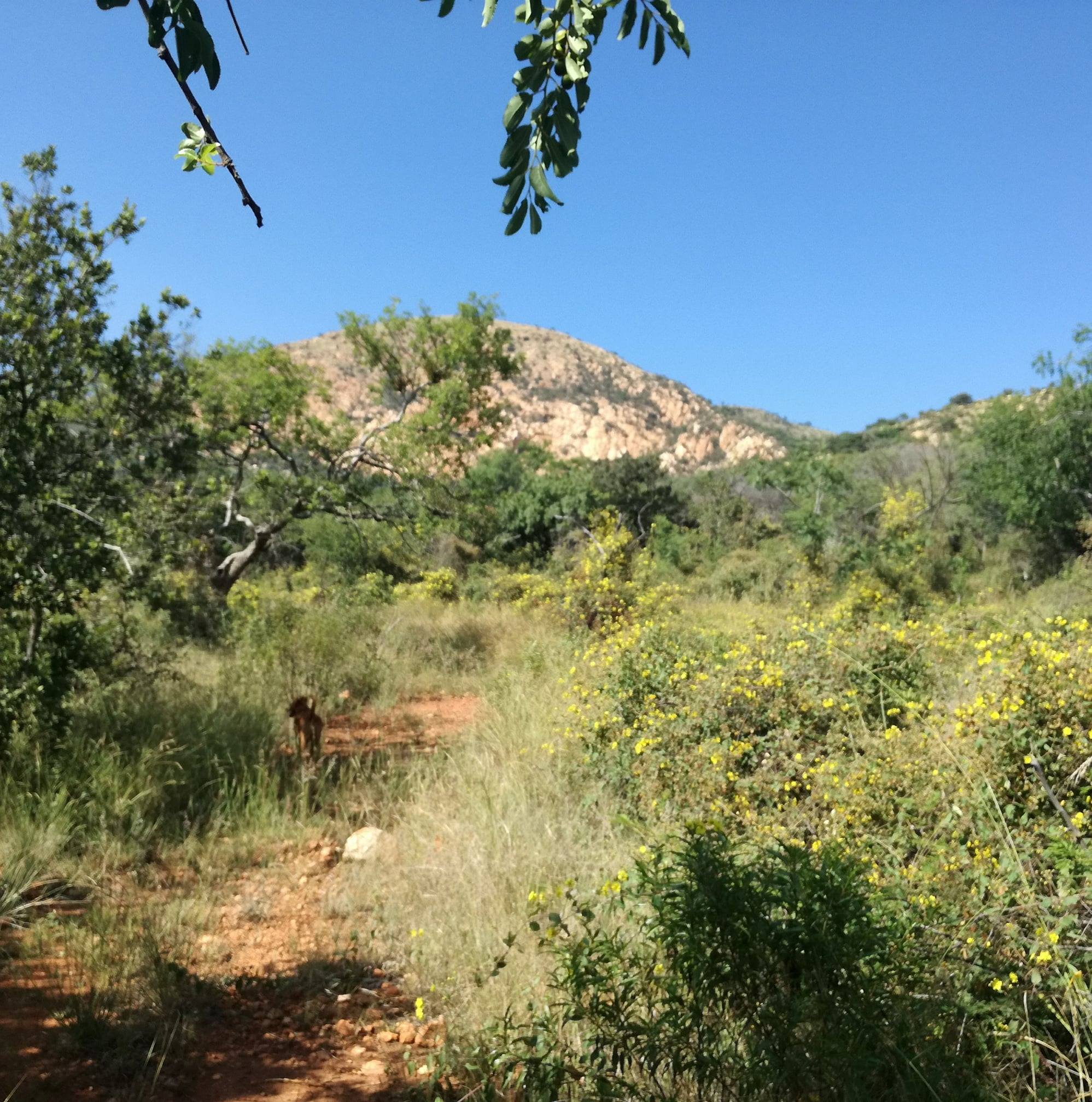GlenGavin Range & Trails | Rustenburg