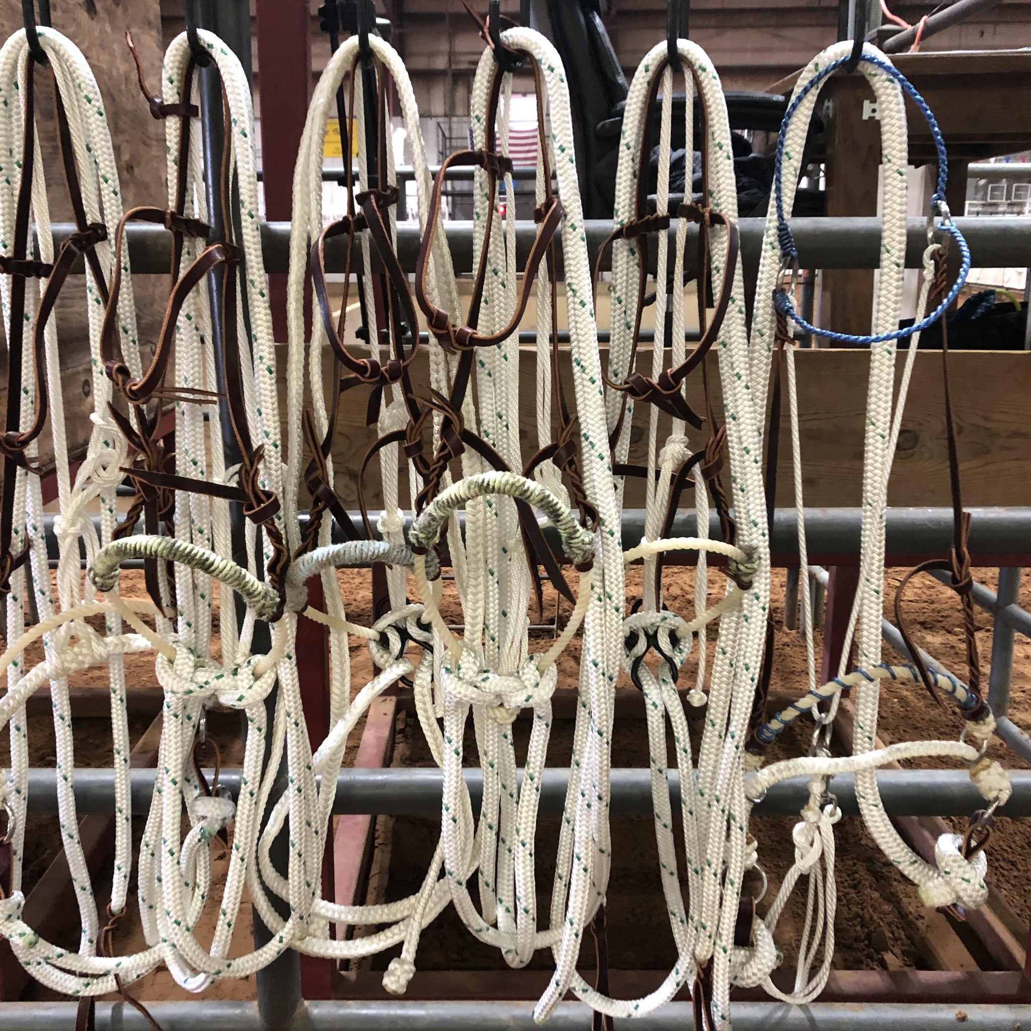 Cutting-Cowhorse Prospects-Finished | Facebook