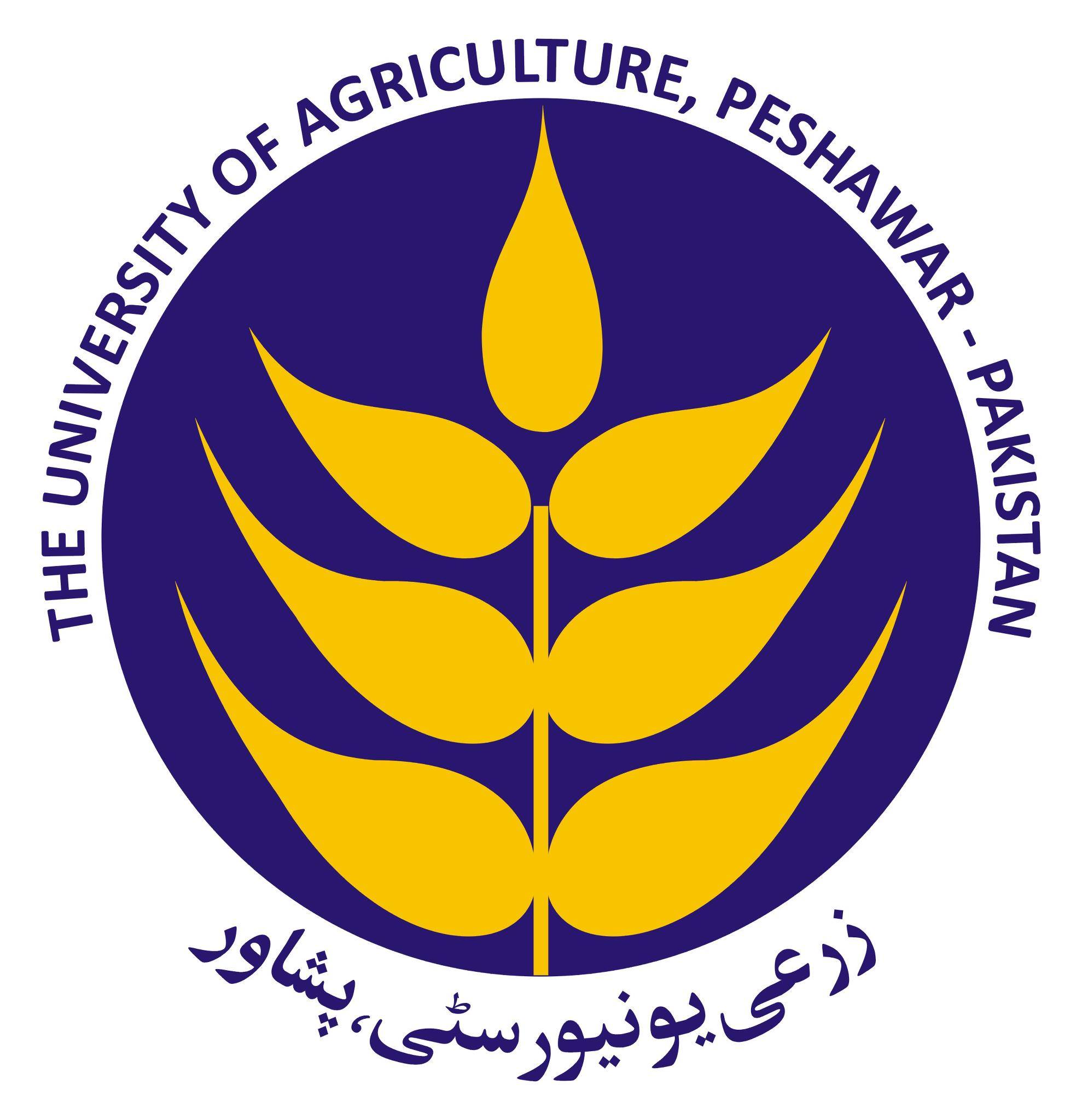 Sohail Ahmad Babar Rahi