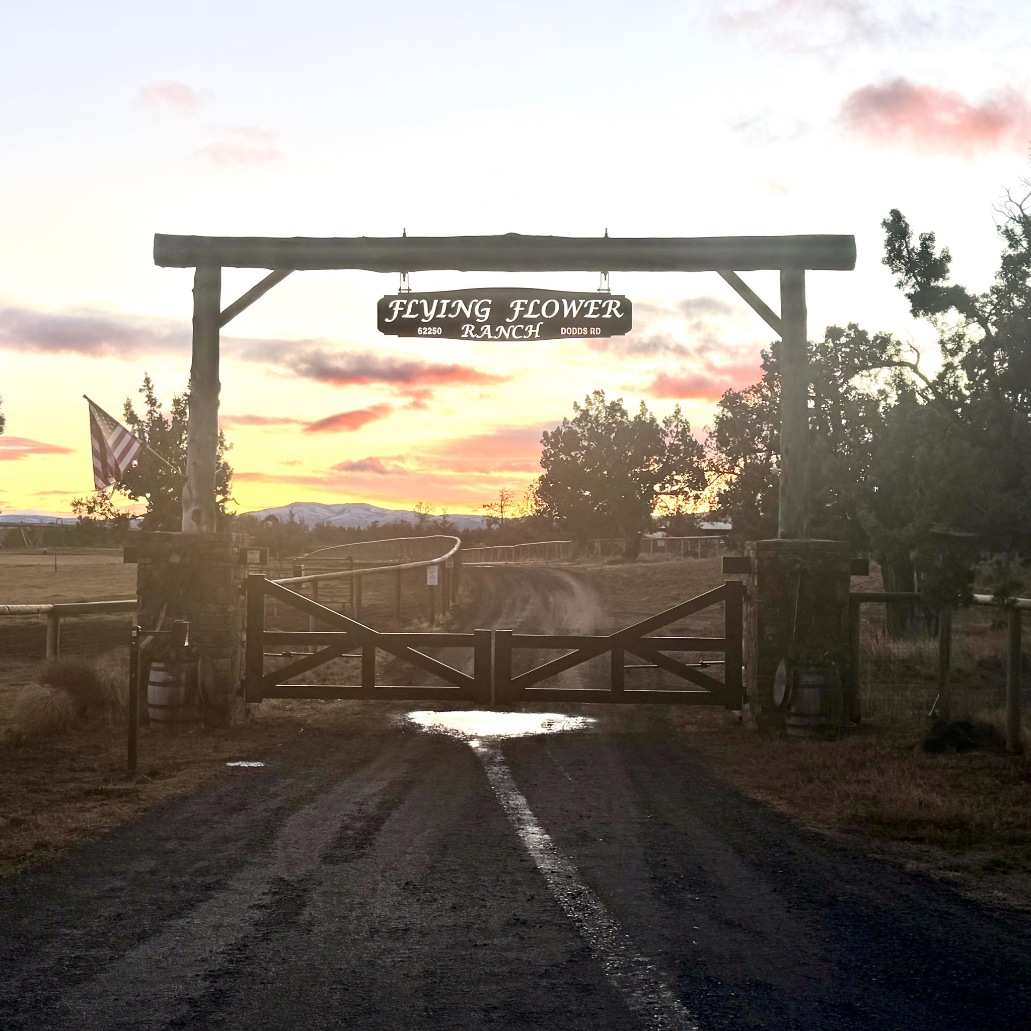 Flying Flower Ranch, LLC | Bend OR