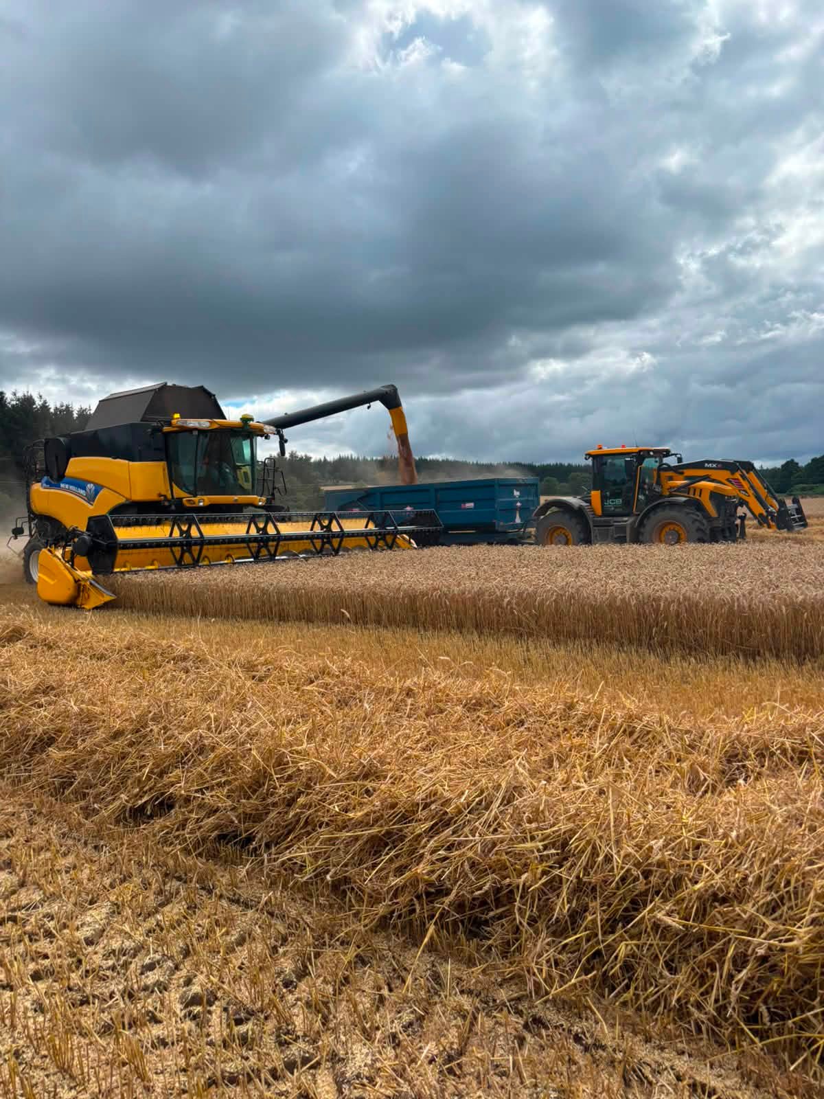 🚜 SEASONAL WORK – FORKLIFT... - Highland Cereal Contracts Ltd | Facebook