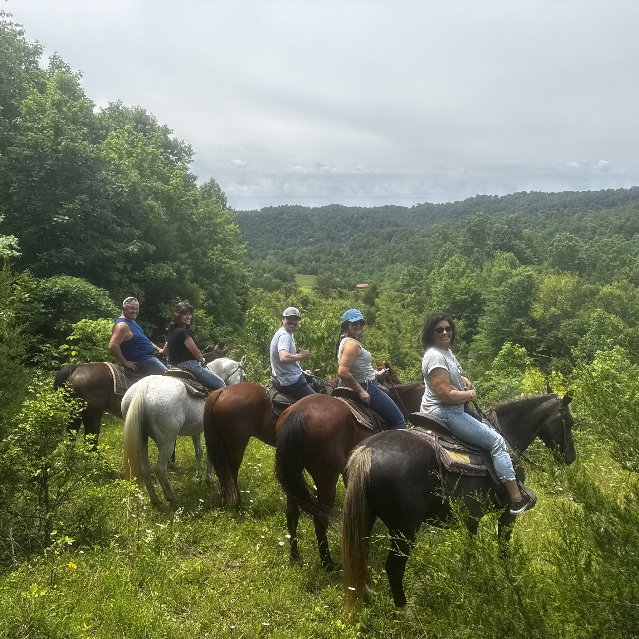 Middle Fork Stables | Beattyville KY