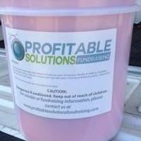 Profitable Solutions Fundraising Mississippi