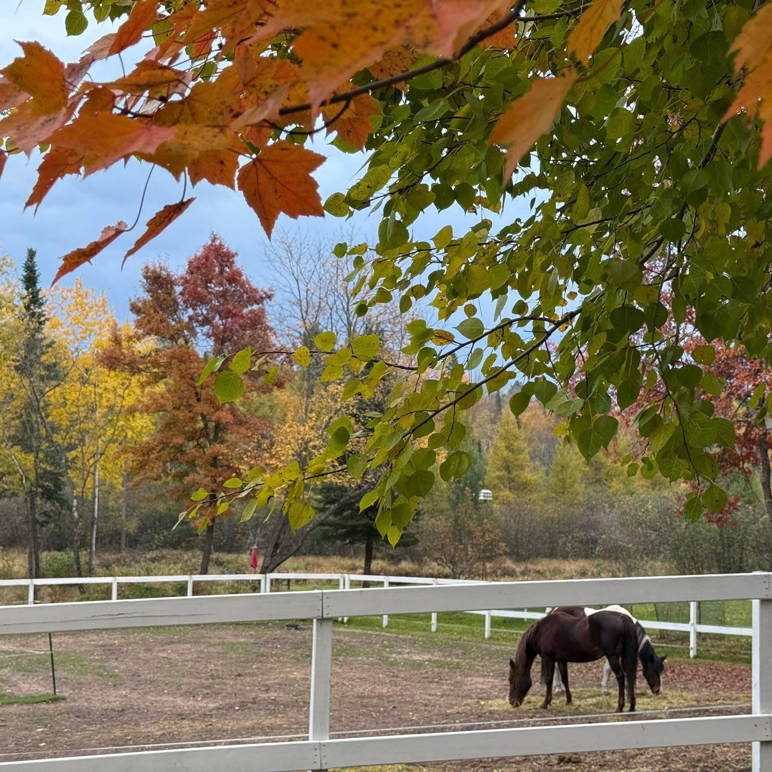 Buckshot Ranch LLC