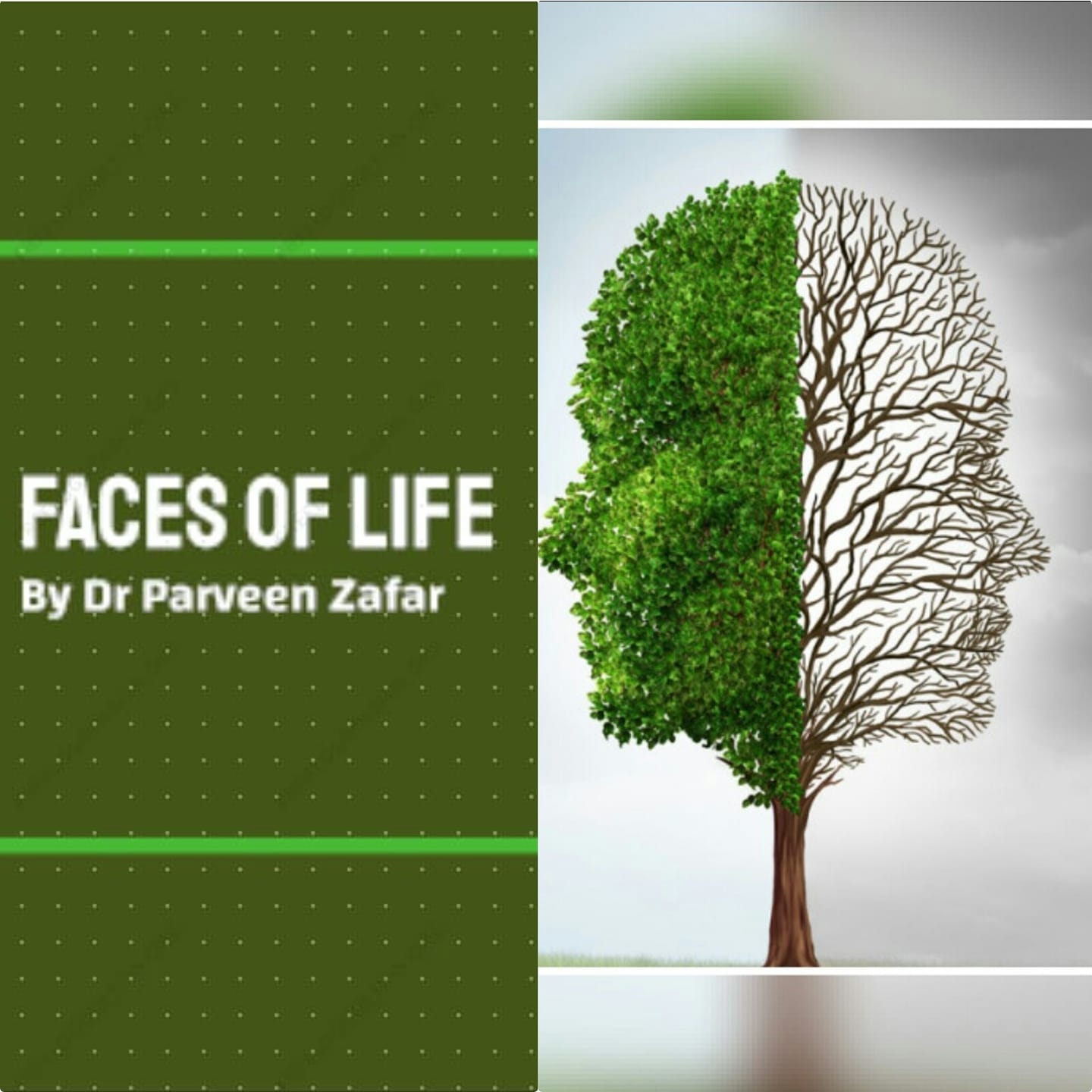 Faces of Life by Dr Parveen Zafar