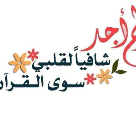 حضانات مصر _ EG | مفاجاة بدري للناس الي عاوزة تلحق بسعر 💥 و متنساش تسال ...