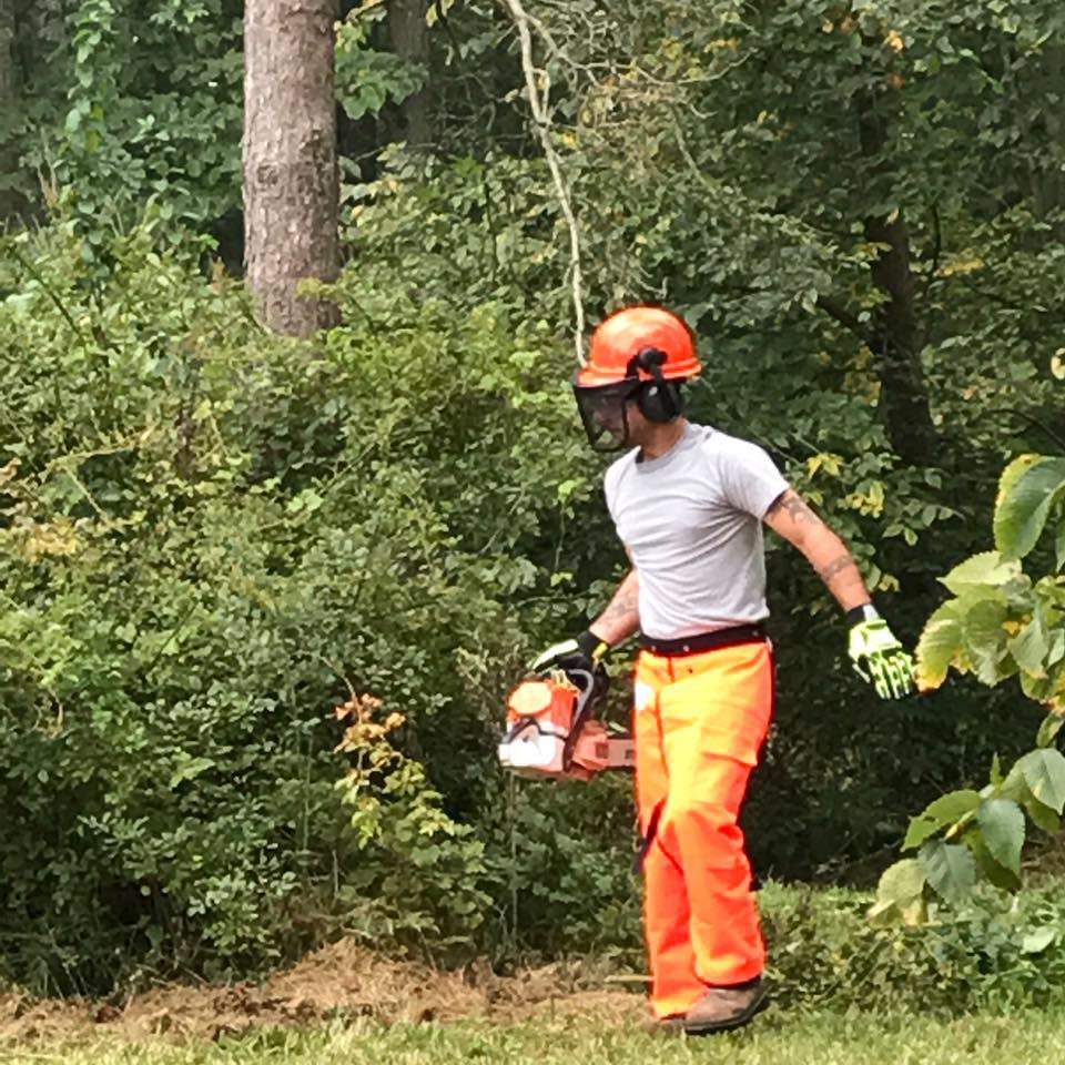 Rose's Tree Service