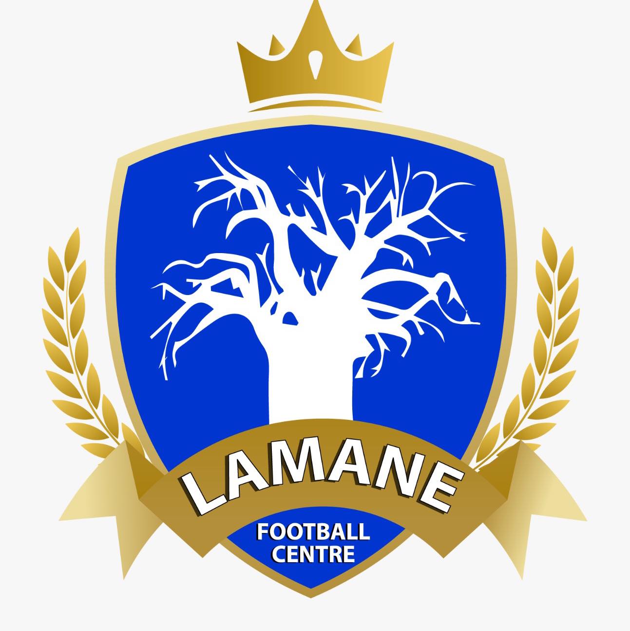 Centre de formation de Football Lamane de Bargny