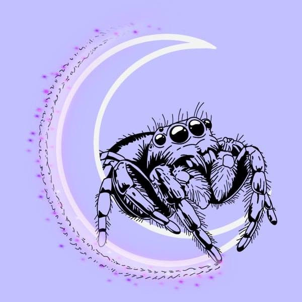 Christmas Season SALE!! The time... - SpiderSpell Emporium | Facebook