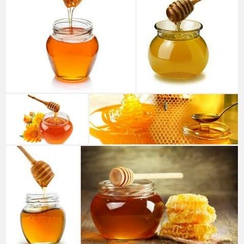 Original Honey Sell - Modhu | Dhaka