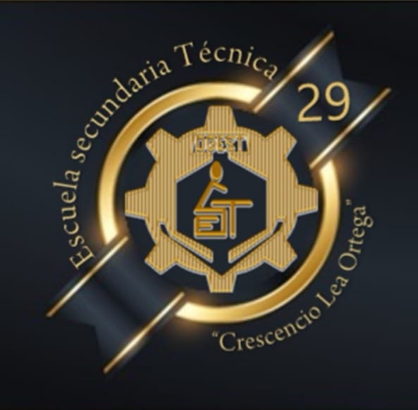 Escuela secundaria técnica 29 oficial