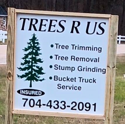 Trees r us | Salisbury NC
