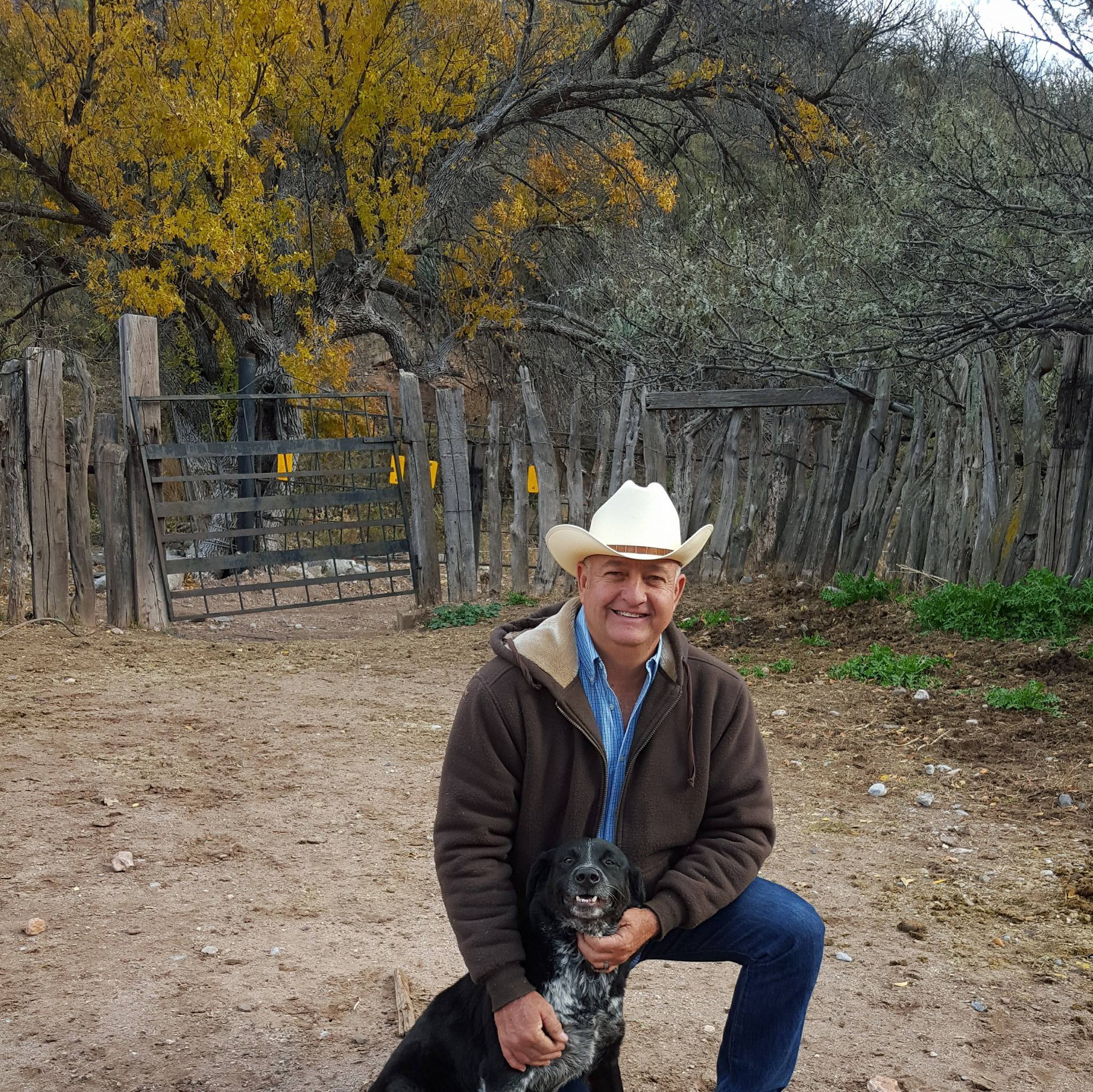 Boss Ranch Quarter Horses | Douglas AZ