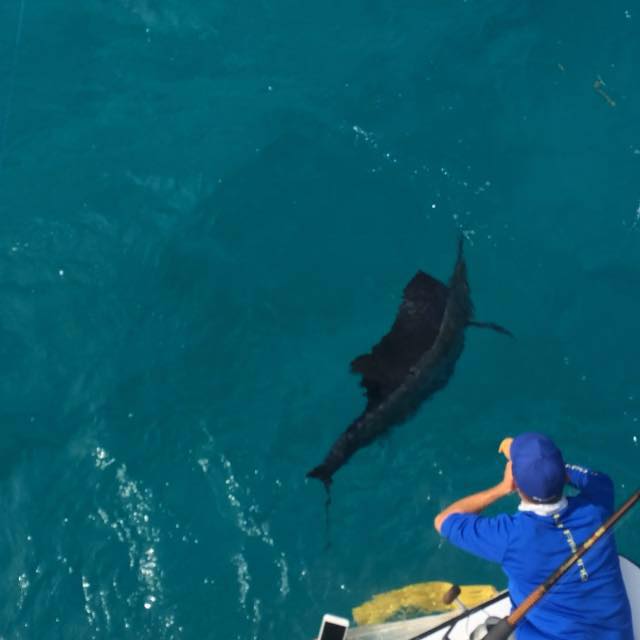 Sam Milazzo Charters | Islamorada FL