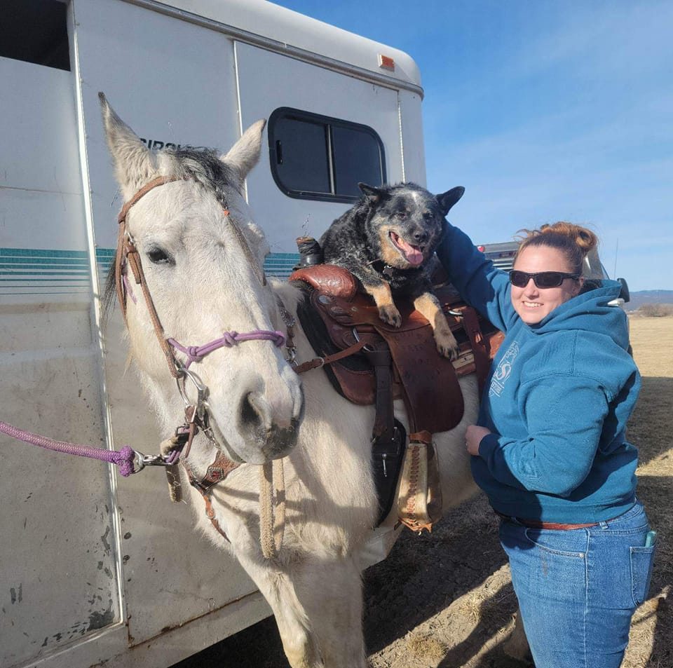 Wilhelm Ranch Dogs