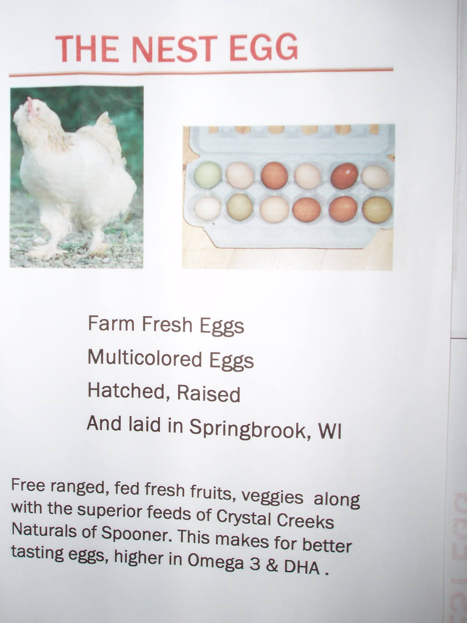The Nest Egg | Springbrook WI