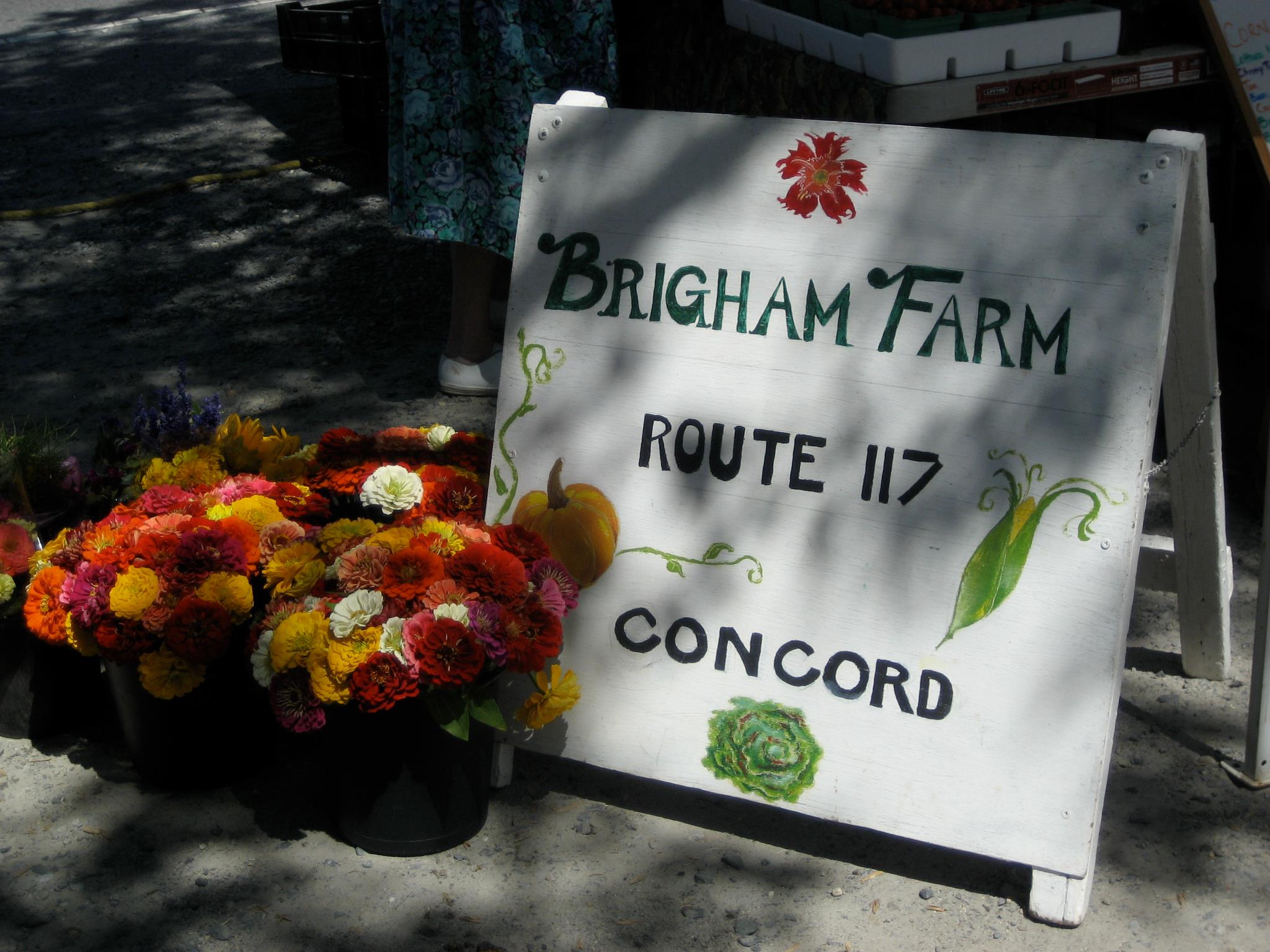 Brigham Farm Stand & Greenhouses | Concord MA
