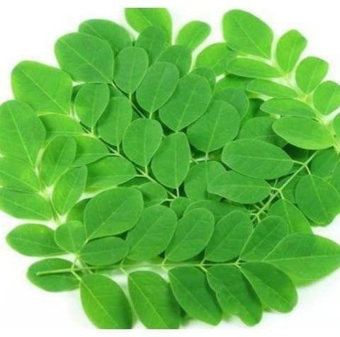 Waje plant nursery | Shrigonda
