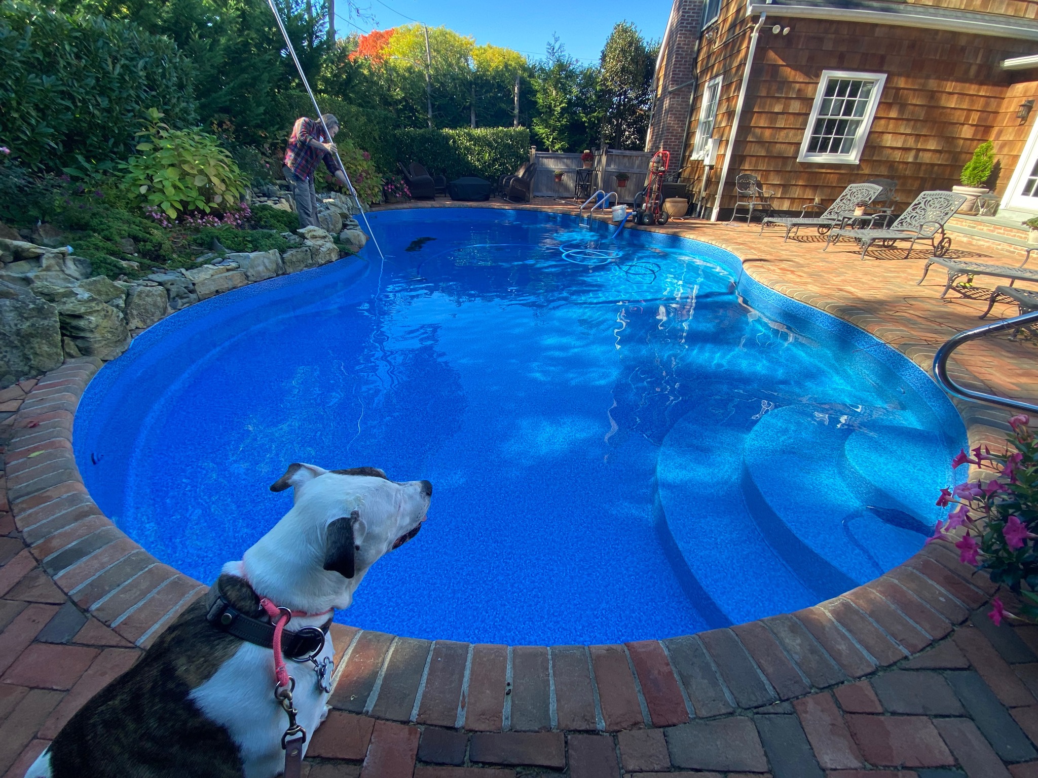 ECM Pool Care