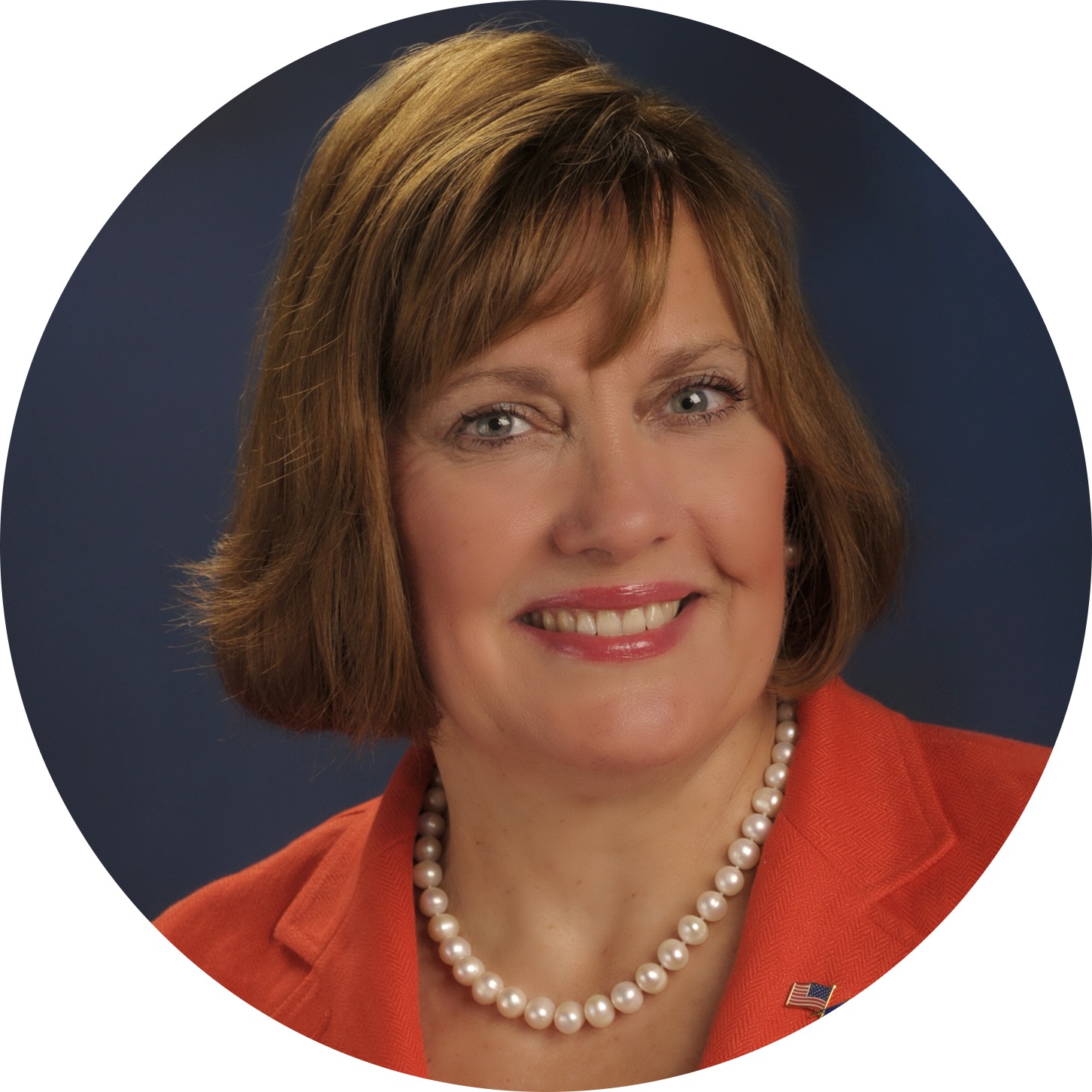 Lynne Ryan for State Representative