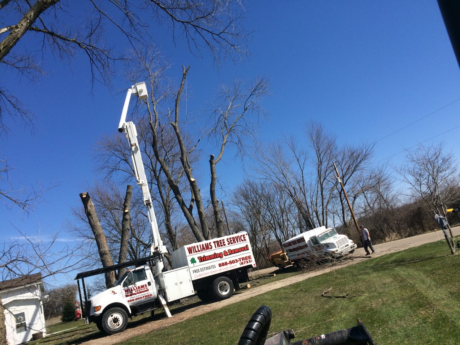 Interesting Williams Tree Service Pictures