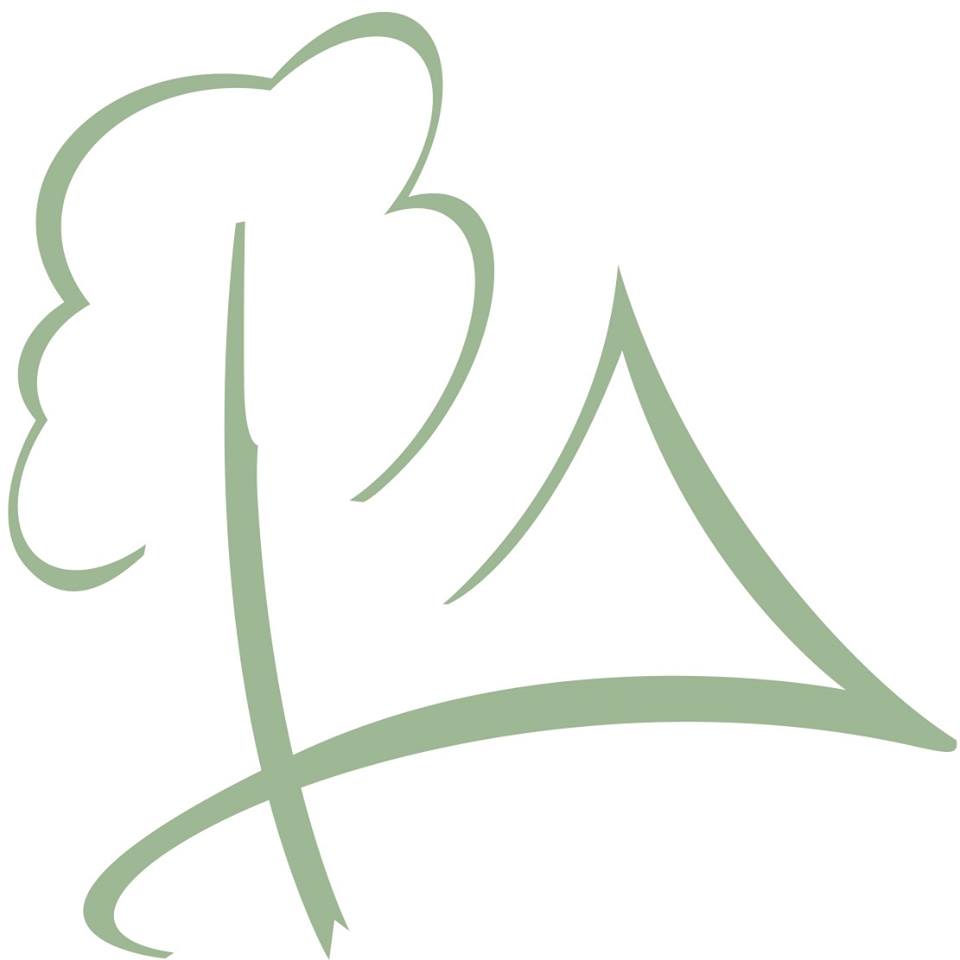 Timber Intent Ltd