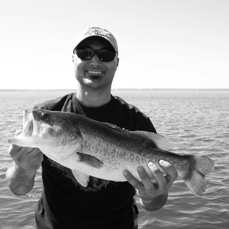Here is our NEW 2019 #HollowBody... - LIVETARGET Lures | Facebook