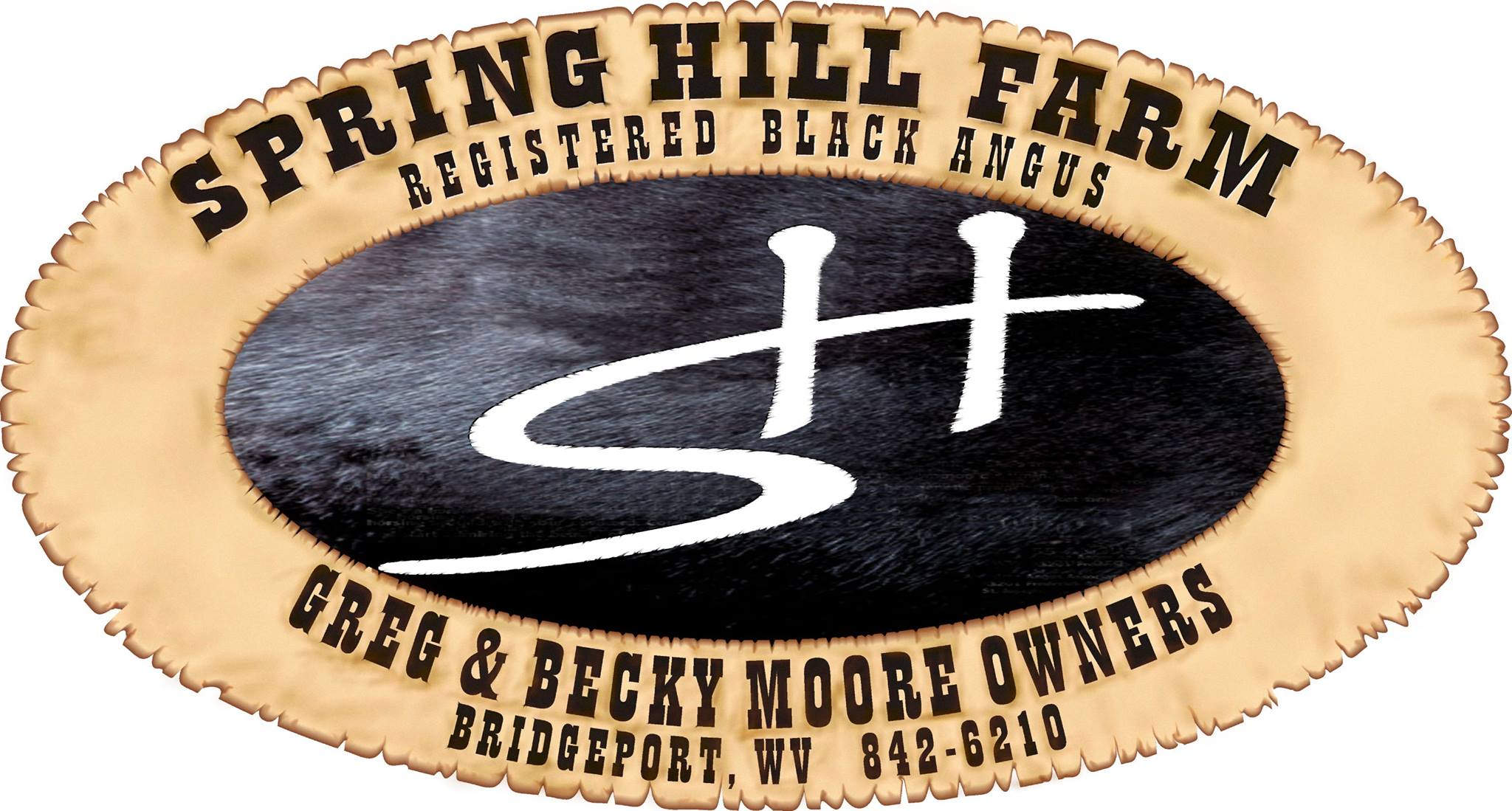 Spring Hill Farm, Registered Black Angus