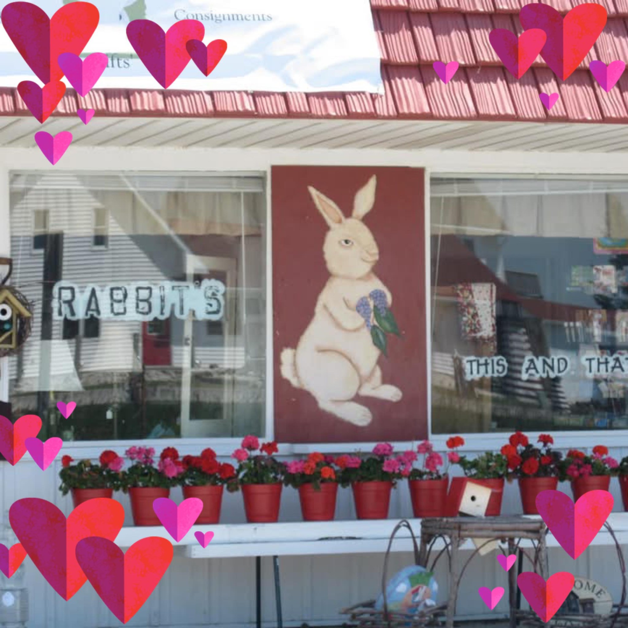 Katie Rabbit's | Kewaunee WI